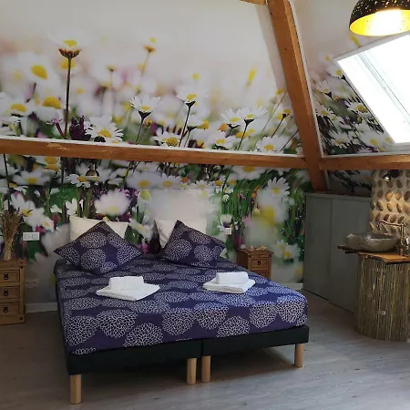Bellevue Bed & Breakfast 3*