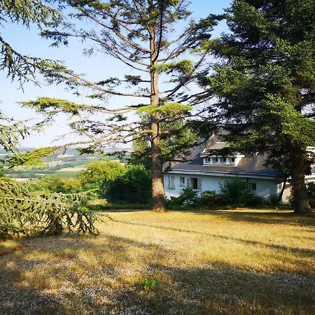 Bed & Breakfast Bellevue