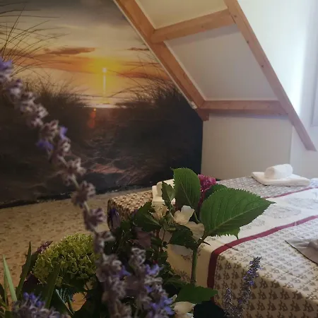 Bellevue Bed & Breakfast 3*